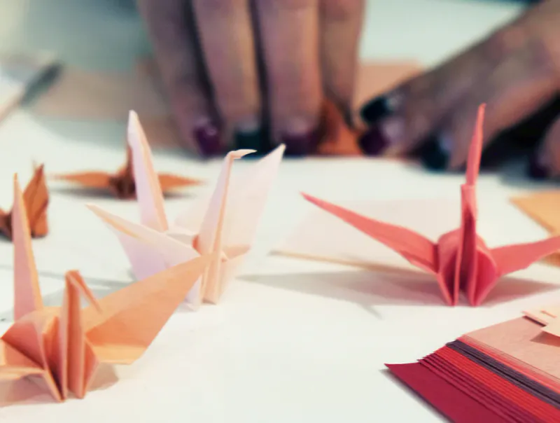 Shogado Origami set, Colour
