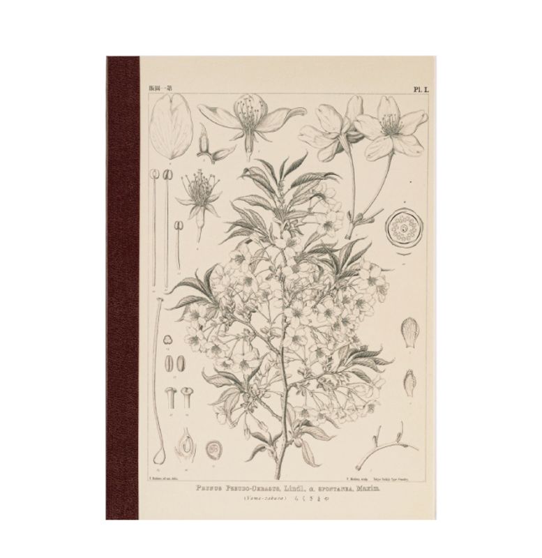 HOBONICHI Yamazakura Notatbok, A5